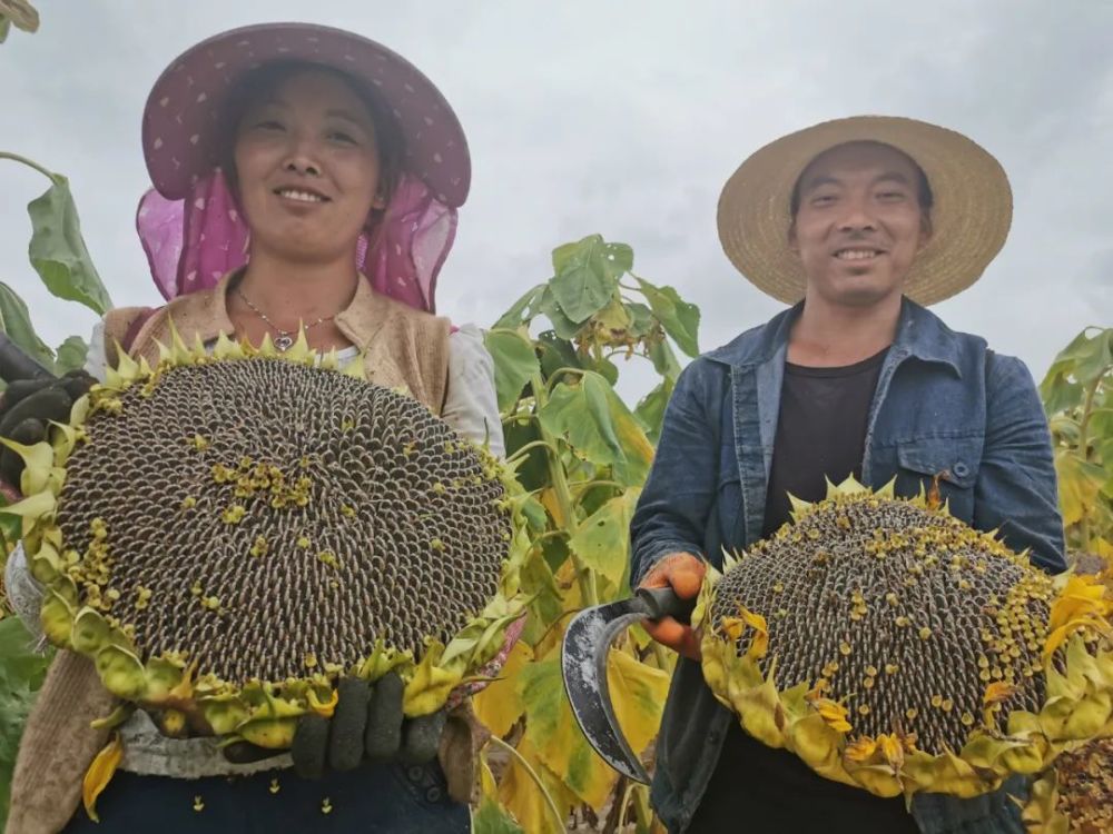 热点生活 第42页