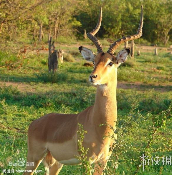 热点生活 第17页