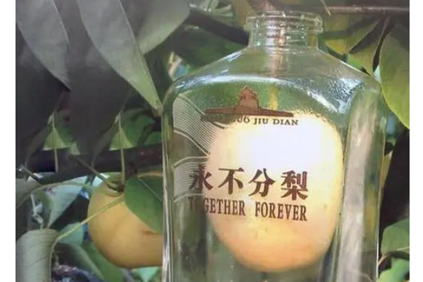 娱乐生活 第5页